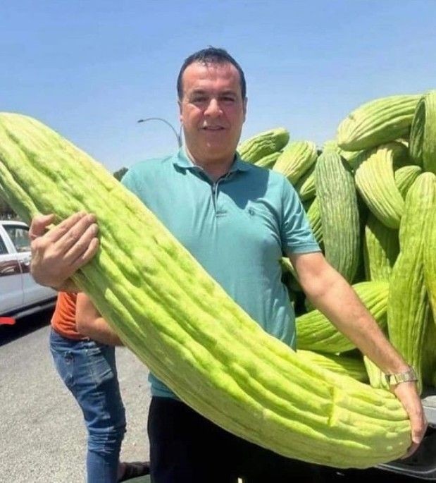 Gördüğünüzde şaşırdığınız şeyler var mı?