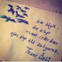 Siz hiç kuş olup uçmak istediniz mi?