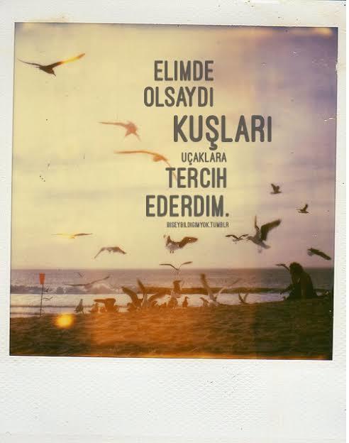 Siz hiç kuş olup uçmak istediniz mi?