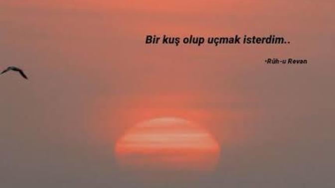 Siz hiç kuş olup uçmak istediniz mi?