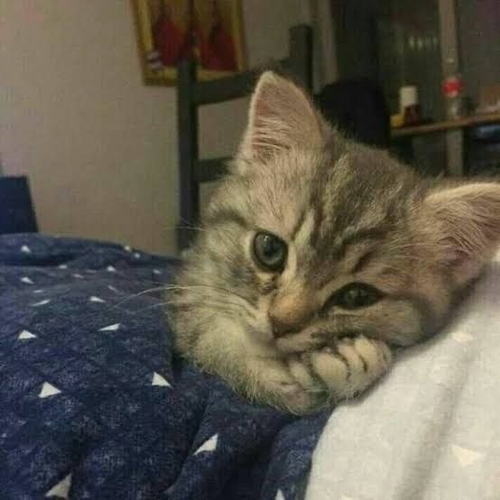 Ruh halinizi tek bir görsel ile özetleyebilir misiniz?
