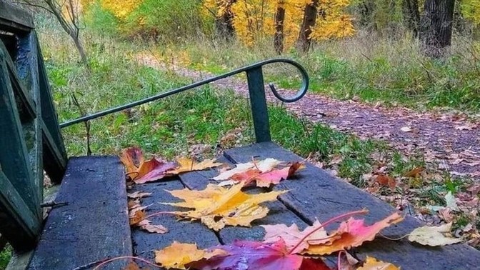 Uyandıktan sonra yaptığınız üç şey nedir?