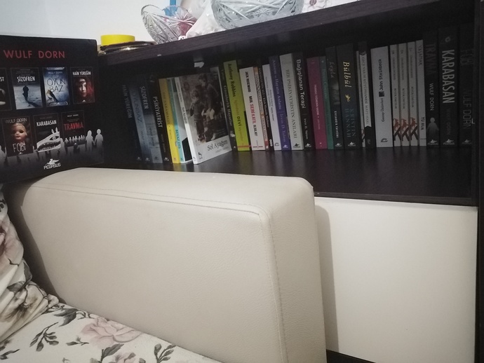 Sürekli Kitap Alma isteğini nasıl durdururuz?