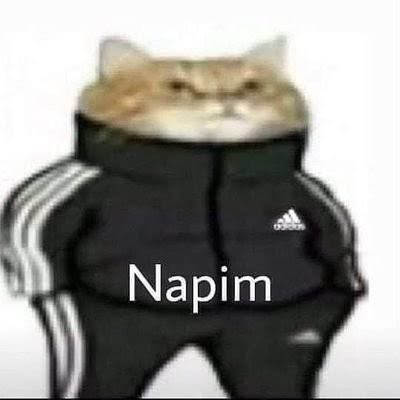 En çok kullandığın kelime ne?