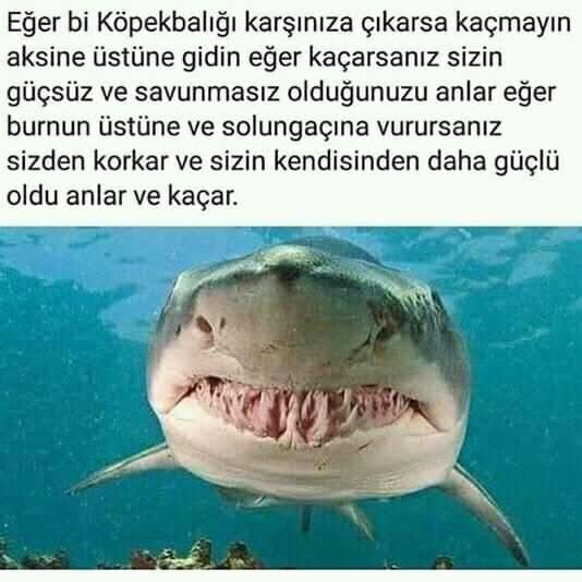 Sahip olduğunuz en garip fobi ne?