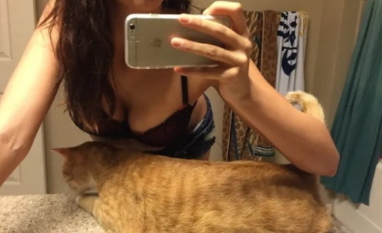 Arkadaşlar miyavlamayan kedi için ne yapmak gerekiyor?