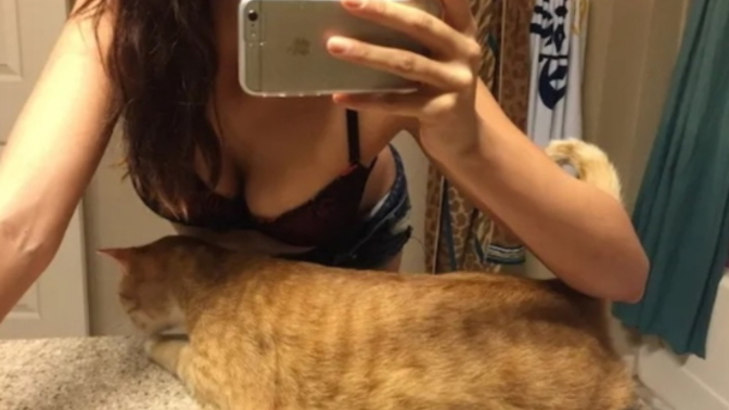 Arkadaşlar miyavlamayan kedi için ne yapmak gerekiyor?