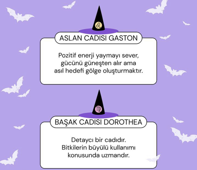 Burcuna göre hangi cadısın 🧙‍♀️ ?