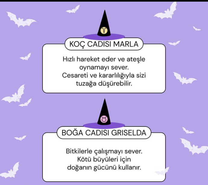Burcuna göre hangi cadısın 🧙‍♀️ ?