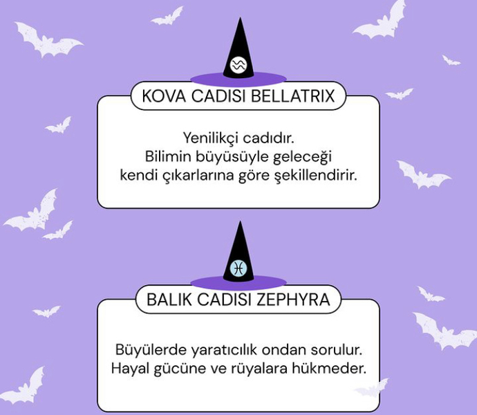 Burcuna göre hangi cadısın 🧙‍♀️ ?