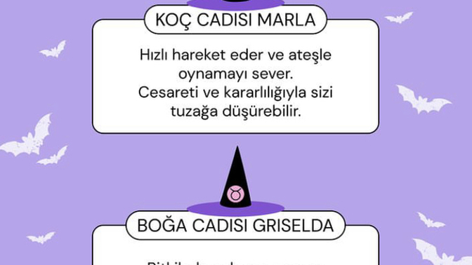 Burcuna göre hangi cadısın 🧙‍♀️ ?