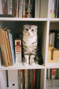 Hayatınızda okuduğunuz ilk kitap neydi?