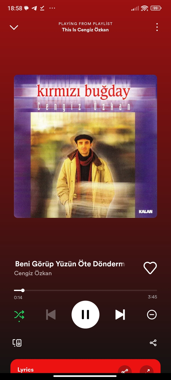 Ne tür şarkılar dinlemeyi tercih edersiniz?