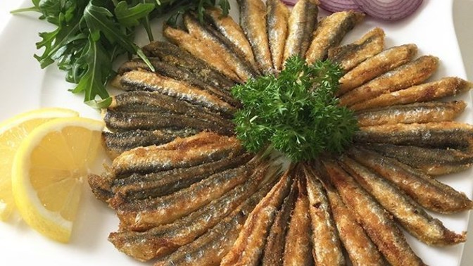 Hamsi balığını seviyor musunuz?