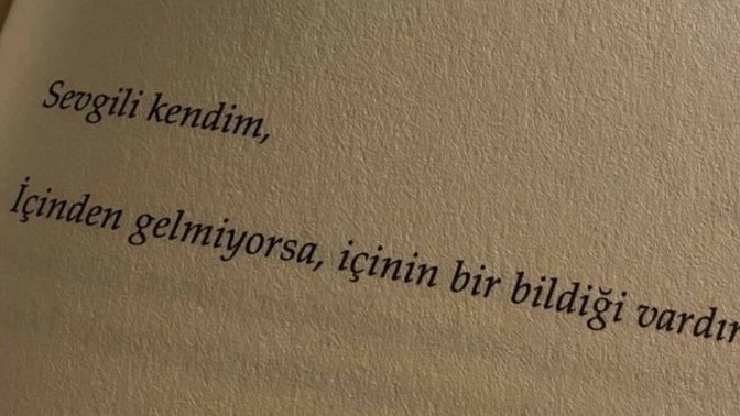 Neyi yapmak içinizden gelmiyor?