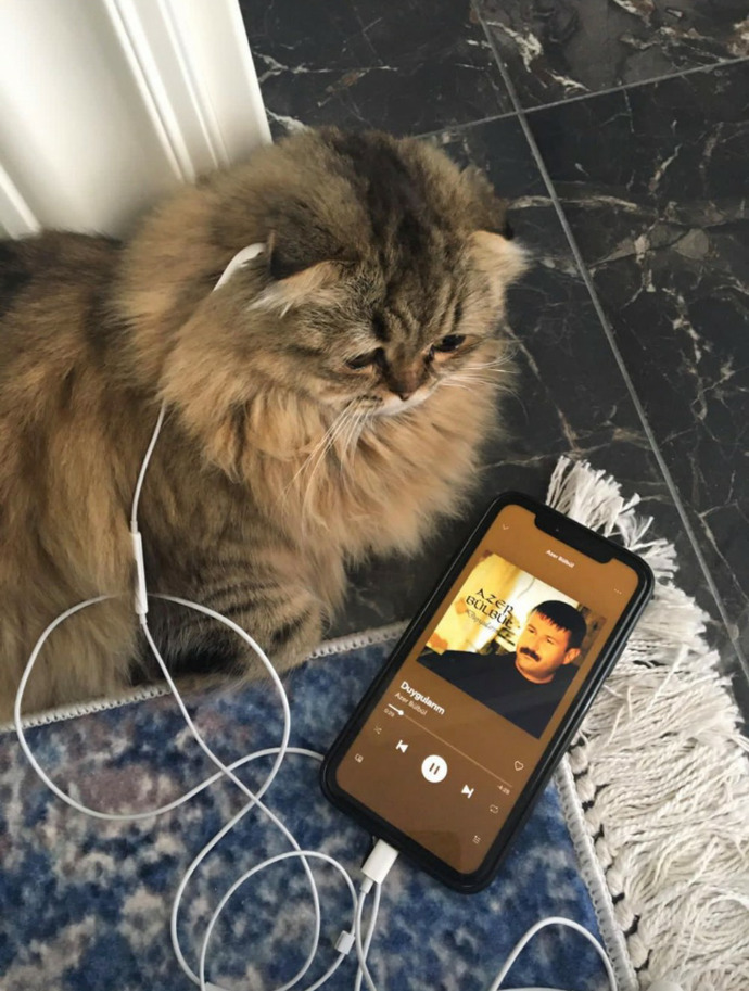 Duygularınız eceli ile mi öldü, yoksa bir katili mi var?
