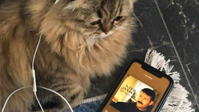 Duygularınız eceli ile mi öldü, yoksa bir katili mi var?