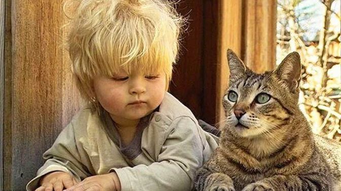 Oğlum (3 yaşında) eve kedi almak istiyor, ne yapmalıyım?