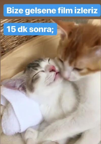 diz dize oturur, gelecekteki aşkınızı konuşursunuz kısmetse tabi.