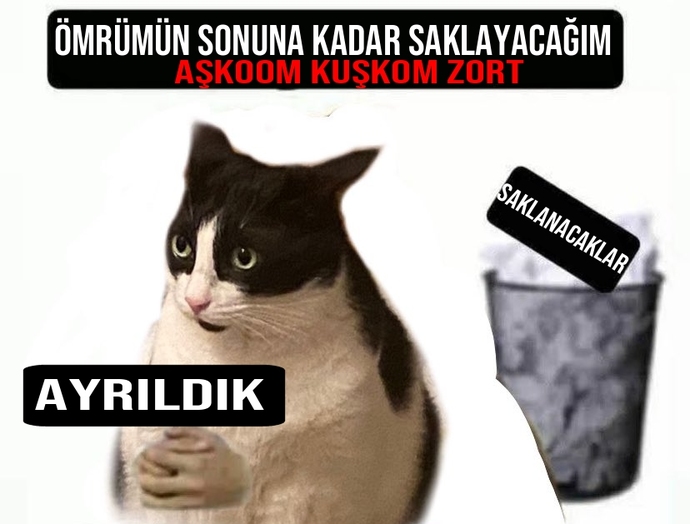 mesaj net.