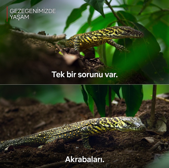 Gerçekten akrabalarını seven var mı?