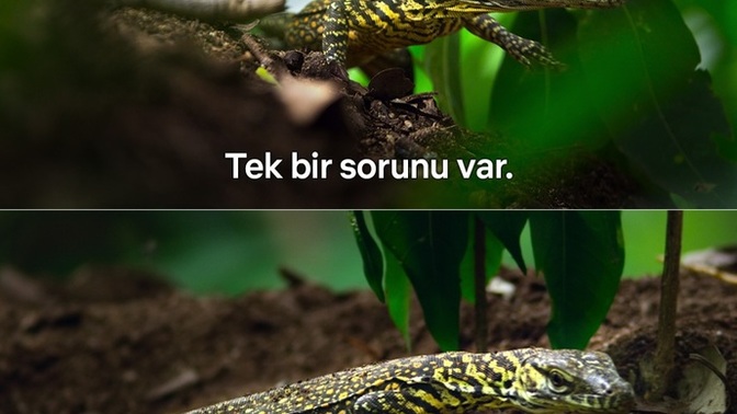 Gerçekten akrabalarını seven var mı?