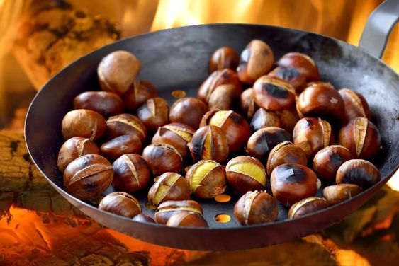 Kestane sever misiniz?