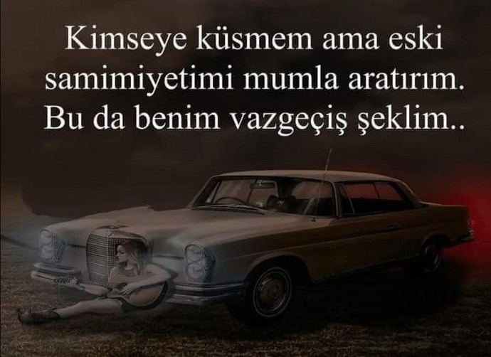 Şıpsevdi misiniz yoksa sevdim mi tam severim diyenlerden misiniz?