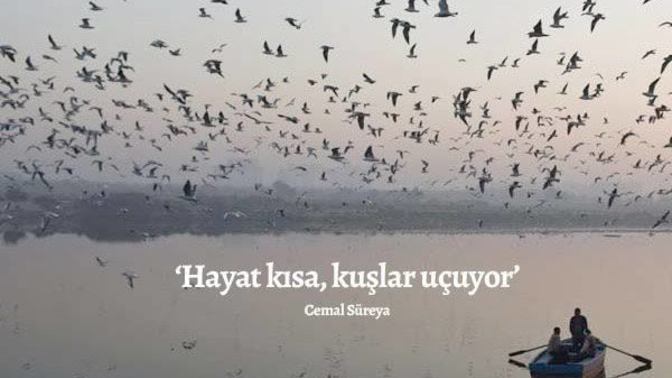 Kendinizle ilgili bir cümle kurabilir misiniz?