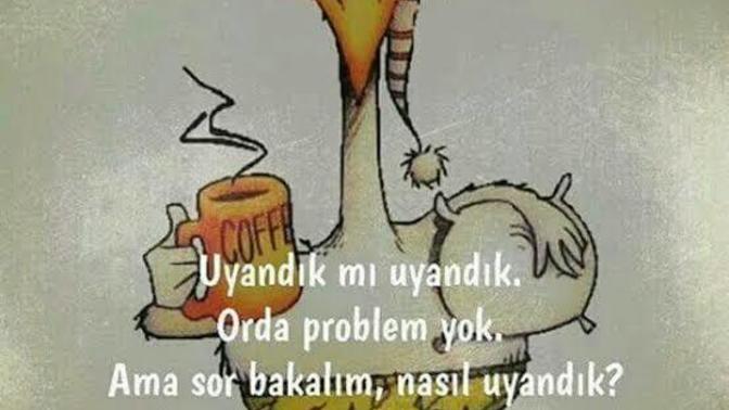 Sabah erken uyanmak size de işkence gibi mi?