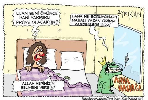 Kurbağa öpmekten dudağında uçuk çıksa bile denemeye devam mı?