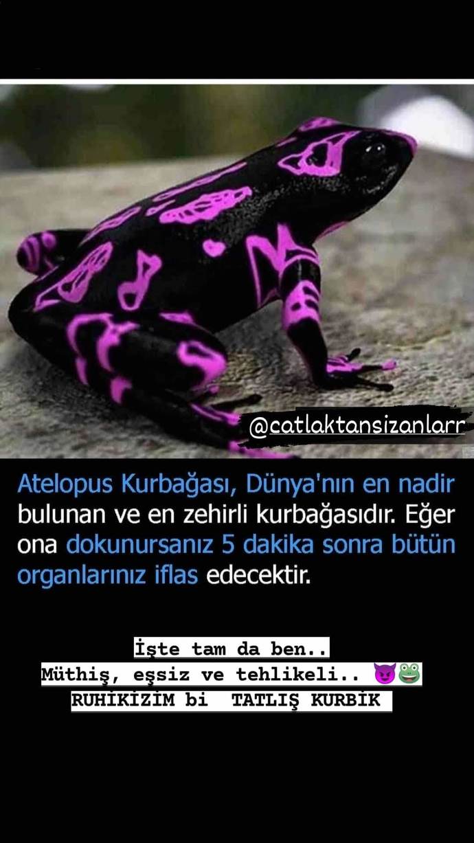 Doğayi severmisin yoksa doğadan korkarmisin?