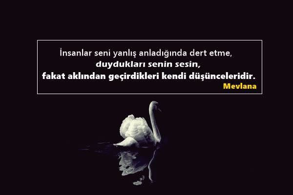 Yanlış anlaşıldığınız bir durumla karşı karşıya kaldınız mı?