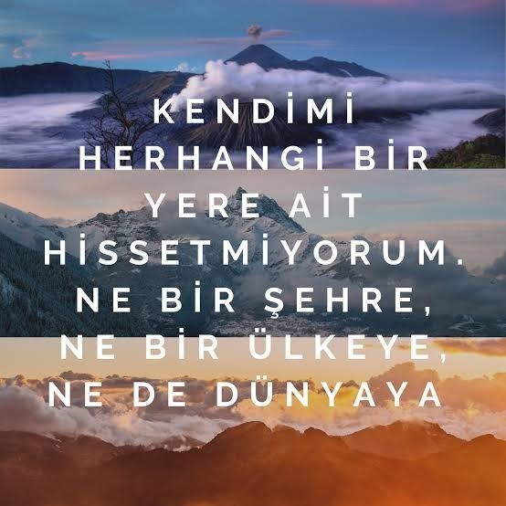 Ait olmama sendromu (Monachopsis)?