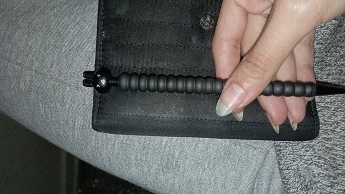 Beslediğiniz tombul hayvanınız var mı?