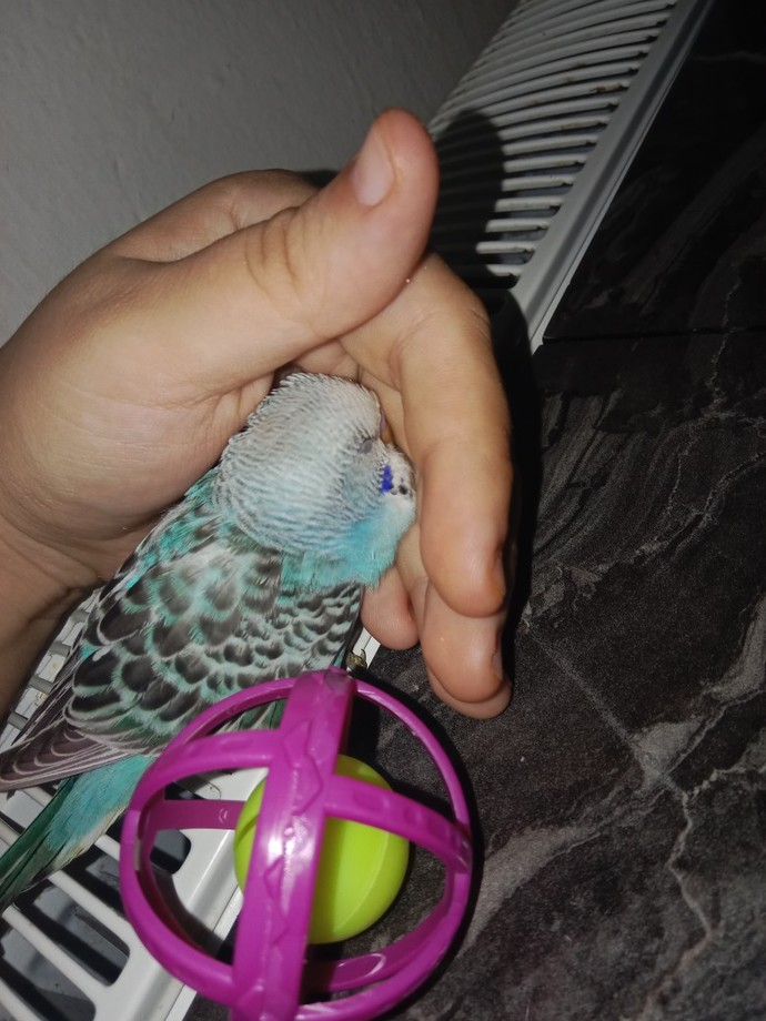 Bu havada cam açık yatılır mı?
