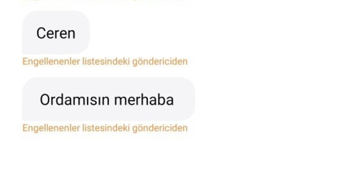 Konuşmak istemediğimi söylediğim halde benimle konusmak istiyor?