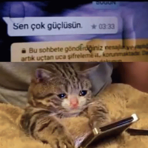 Sinirlenince ağlar mısınız?