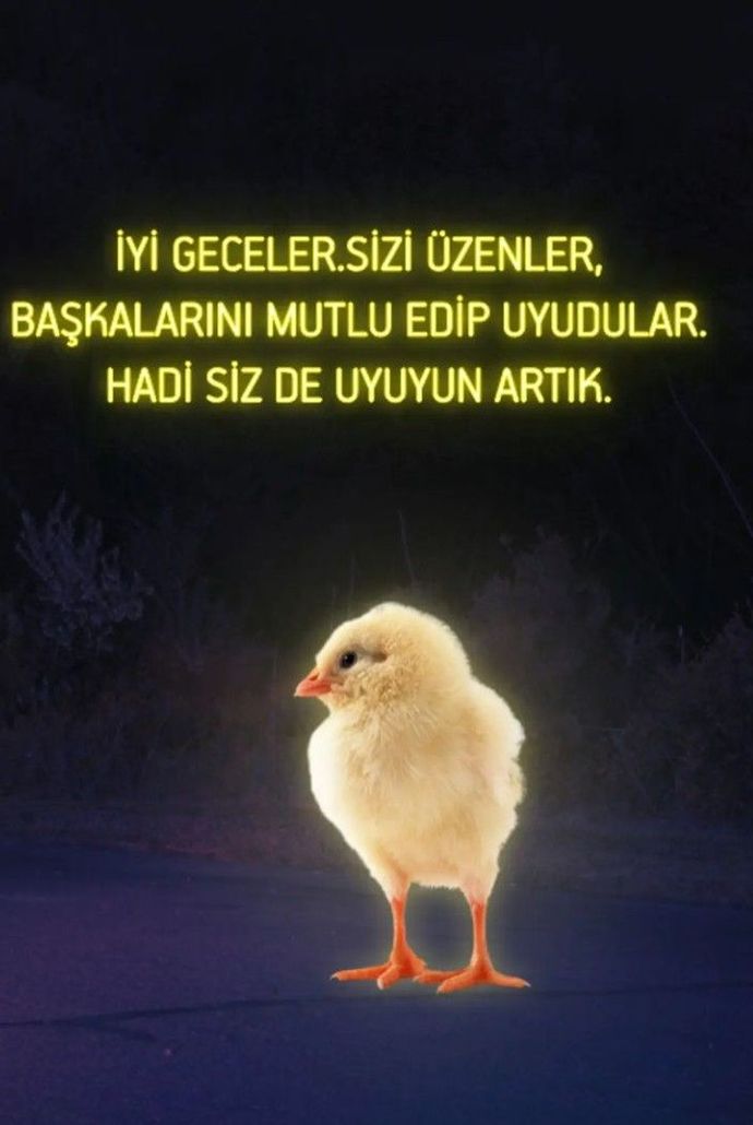 İyi geceler mesajı aldınız mı ✨?