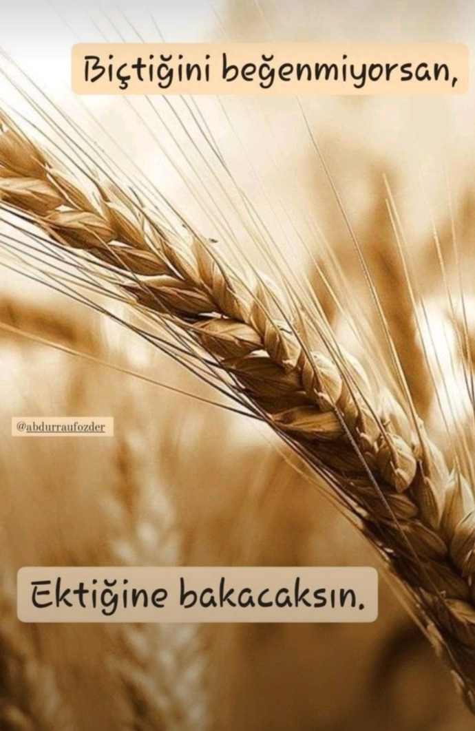 Bugün senin motton nedir?