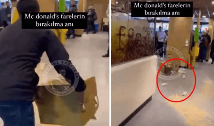 İsrail’i protesto etmek için McDonalds şubesinin içine bir kutu fare fırlatıldı! Hangi hamburgerciye gidiyorsunuz?