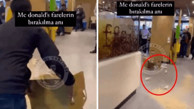 İsrail’i protesto etmek için McDonald's şubesinin içine bir kutu fare fırlatıldı! Hangi hamburgerciye gidiyorsunuz?