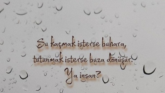 İnsan neye dönüşür?