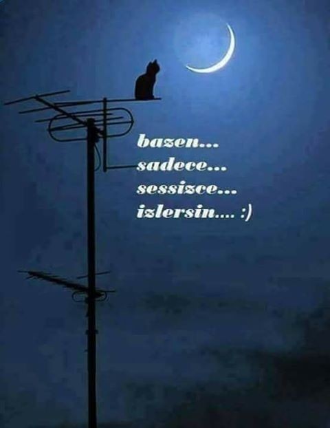 Sizde sessizce izlediğiniz oldumu sevdiğinizi?