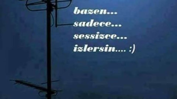 Sizde sessizce izlediğiniz oldumu sevdiğinizi?