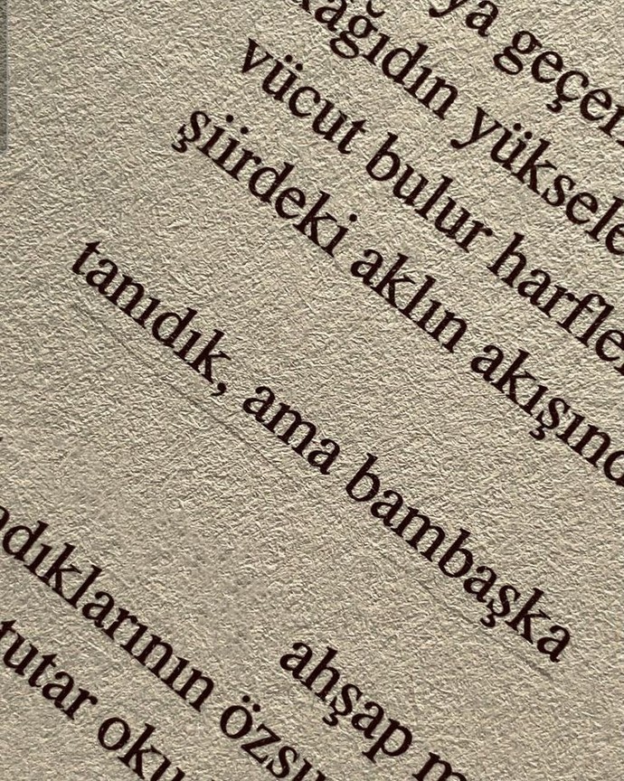 Hislerinizi rahatça dile getirir misiniz?