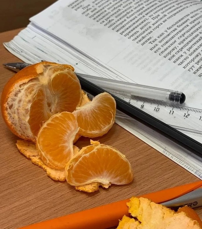 Dışarı çıkarken yanınıza atıştırmalık bir şeyler alıyor musunuz?