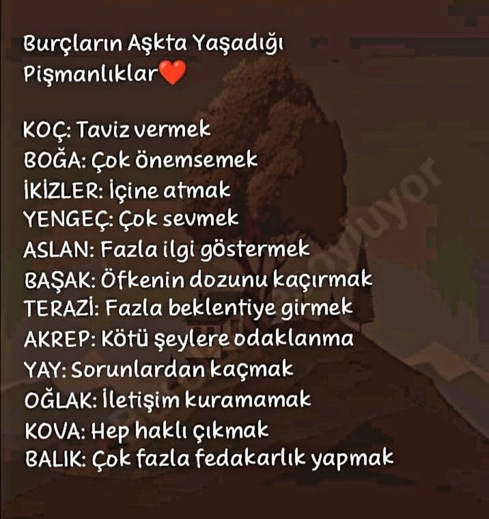 Burcuna göre aşkta yaşadığın pişmanlık nedir?