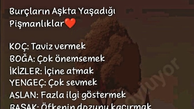 Burcuna göre aşkta yaşadığın pişmanlık nedir?