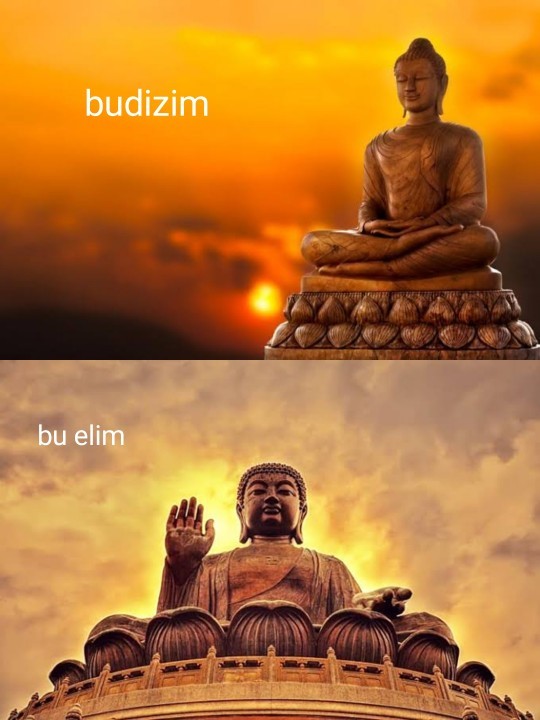 Tek görselle espiri yeteneğinizi aşağı bırakır mısınız?